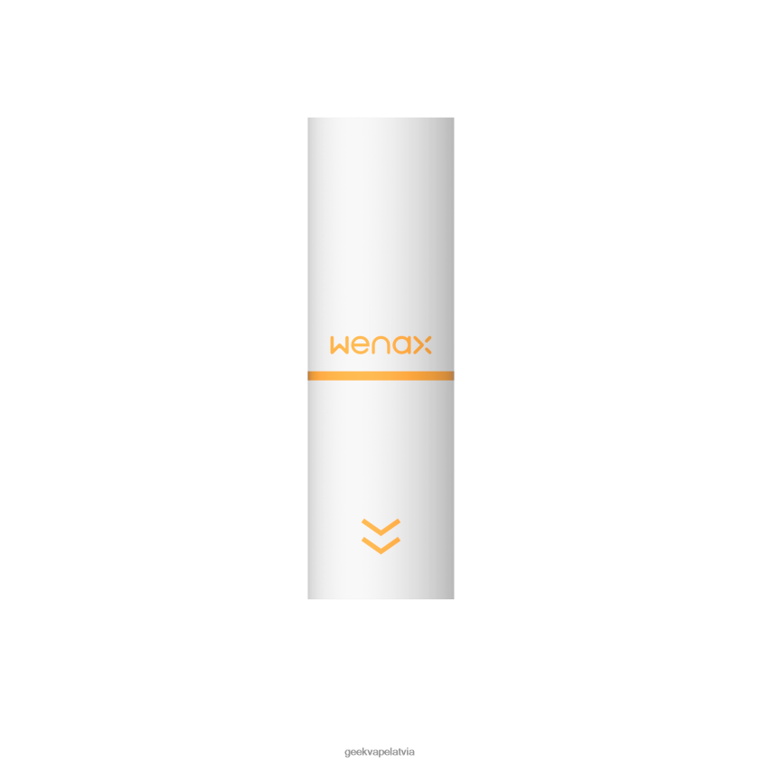 Geekvape s kārtridžu pods 2ml parastā versija 488BF2207- Geek Vape Online